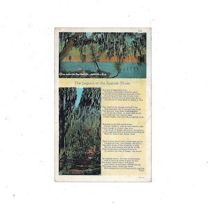 Legend of Spanish Moss Postcard, Uit de jaren 1920, Geplaatst w / 1 Cent Postzegel, Bericht, Pub. door Asheville Postcard Co. Travel Souvenir