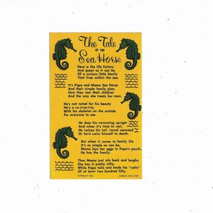 1955 Postkarte der Geschichte des Seepferdchens, aus Florida, ungepostet, Carman und Casey Gedicht, Reiseandenken Ephemera, Upcycle Scrapbook
