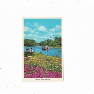 Floridas Silver Springs Postkarte mit Glasbodenbooten, ungepostet, Reise-Souvenir, Upcycle Scrapbook-Versorgung aus den 1960er Jahren, Landschaftsgarten