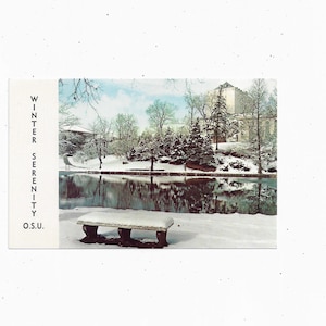 Mirror Lake Postcard at Ohio State University, Columbus, &quot;Winter Serenity&quot; OSU, Unposted, From 1960s, Travel Souvenir, Upcycle Scrapbook