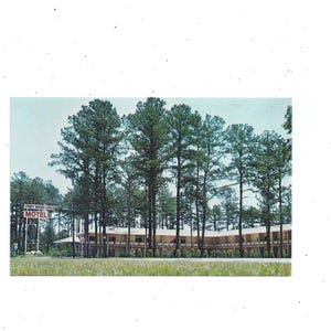 May include: Vintage postcard featuring a motel nestled among tall pine trees. The motel has a long, low-slung building with a sign that reads "Pine Woods Lodge Motel". The sky is a pale blue, and the overall scene evokes a sense of nostalgia.