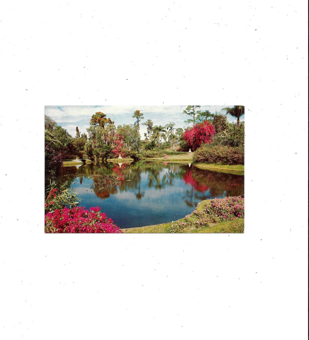 Cypress Gardens Slide, 1960s - a photo on