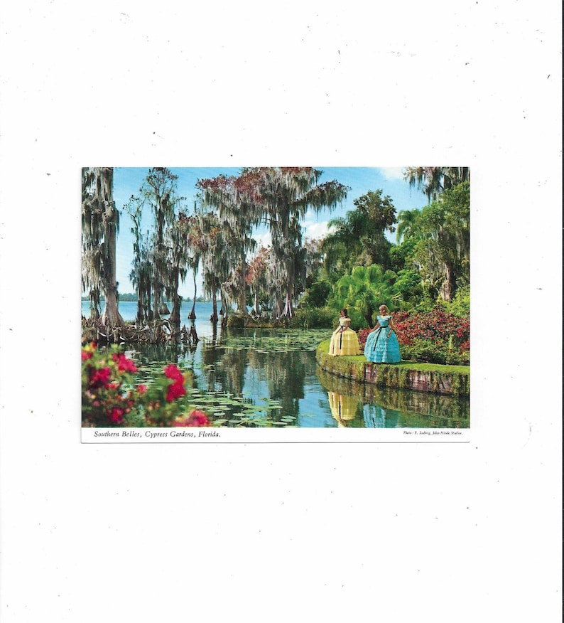 Unposted Ludwig Photo John Hinde E Travel Souvenir 1970s Postcard of Cypress Gardens Southern Belles FREE Shipping to USA Florida