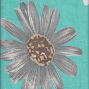 May include: A large gray daisy with a brown center on a turquoise background.