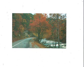 1970s Postcard of Little River at Fall, Great Smoky Mountains National Park, Tennessee, Unposted, Walter Cline Photo, Upcycle Scrapbook