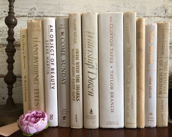 Decorative Beige, Blue, Red, and Gray Vintage Books for Decor