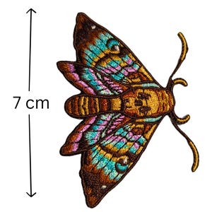 Iron on Moth patch, insect patches, Halloween decoration, moths, butterflies, day of the dead