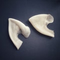 Elf Ears - Cosplay and LARP