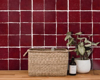 May include: A wall covered in square, deep red tiles with white grout lines, featuring a woven rectangular basket, a small potted green plant, and a dark glass bottle with a white label. The text BleUcoin is visible in the top right corner.