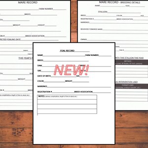 Pu&ograve; includere: Un modulo stampabile per registrare le informazioni su fattrici e puledri. Il modulo include sezioni per il nome, la razza, la data di nascita, il colore, i segni distintivi, il numero di registrazione e altri dettagli pertinenti. Il modulo &egrave; intitolato "Mare Record" e "Foal Record".