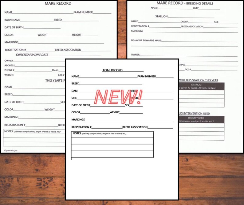 Pu&ograve; includere: Un modulo stampabile per registrare le informazioni su fattrici e puledri. Il modulo include sezioni per il nome, la razza, la data di nascita, il colore, i segni distintivi, il numero di registrazione e altri dettagli pertinenti. Il modulo &egrave; intitolato "Mare Record" e "Foal Record".