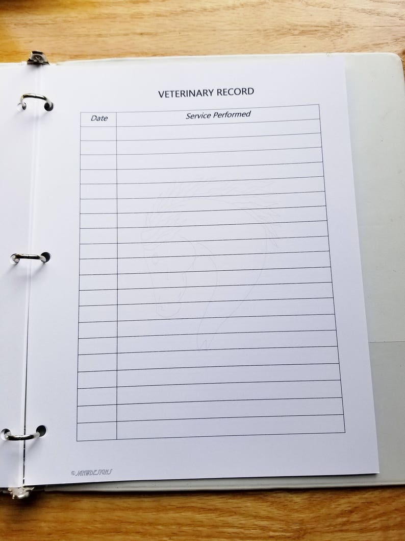 May include: A white veterinary record binder with the title "Veterinary Record" and columns for "Date" and "Service Performed".