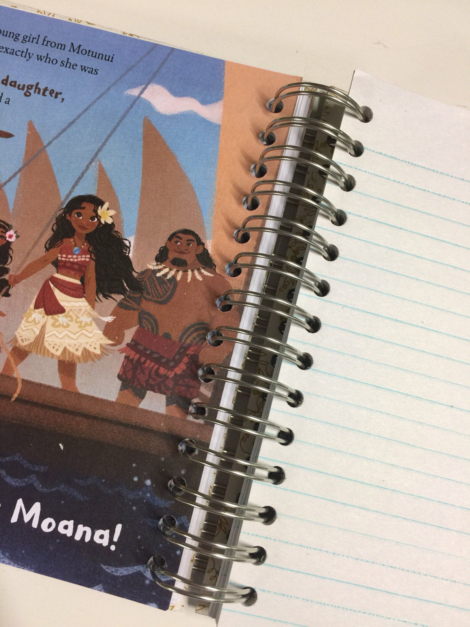 moana book with figures