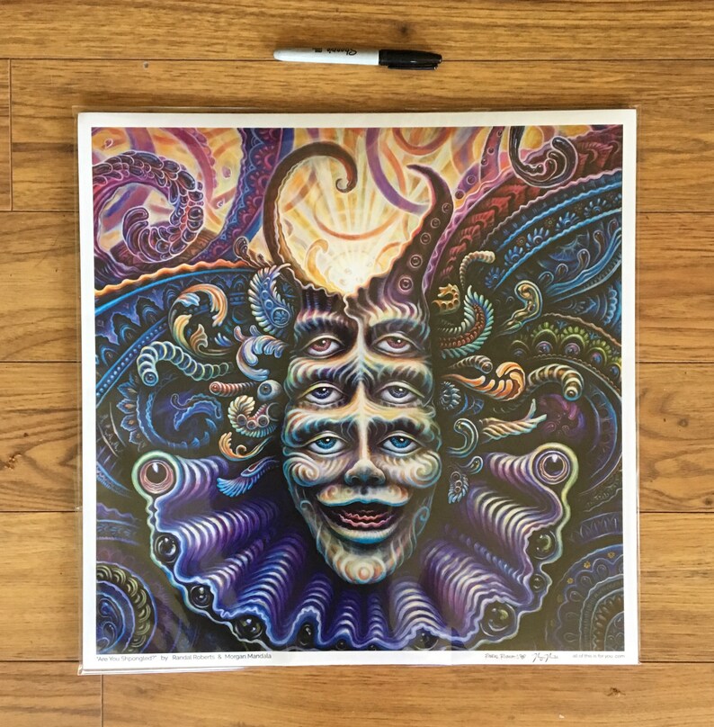 Are You Shpongled Large Paper Art Print by Randal Roberts Etsy