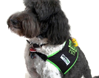 May include: A black and white dog wearing a black harness with green trim. The harness has a patch that says "Blind Pet" and a smaller patch that says "Show Gear".