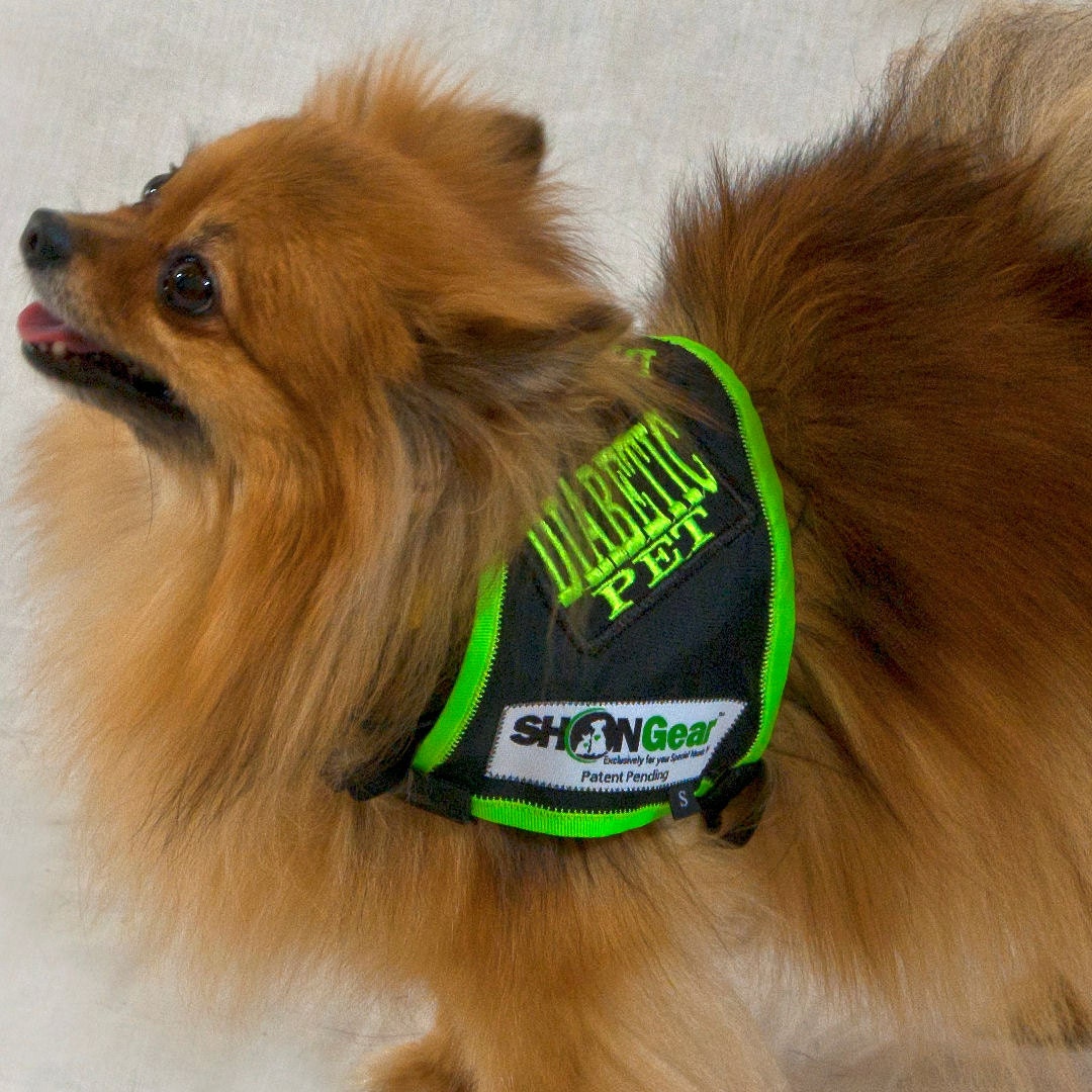 Diabetic Dog Safety Vest and Kit High Visibility Alert Vest Etsy