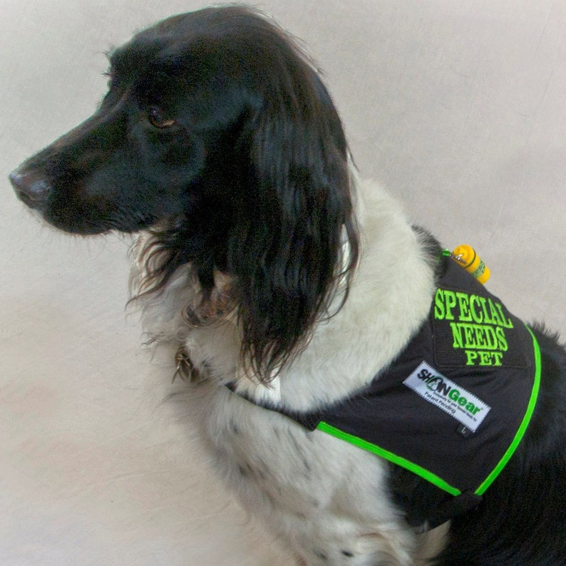 Special Needs Dog Vest Medical Alert High Visibility Etsy