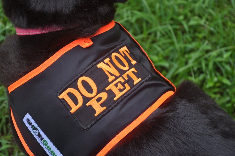 Dog Vest  DO NOT PET Alert Vest image 1