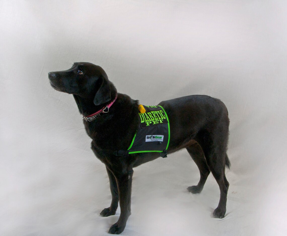 Diabetic Dog Safety Vest and Kit High Visibility Alert Vest Etsy