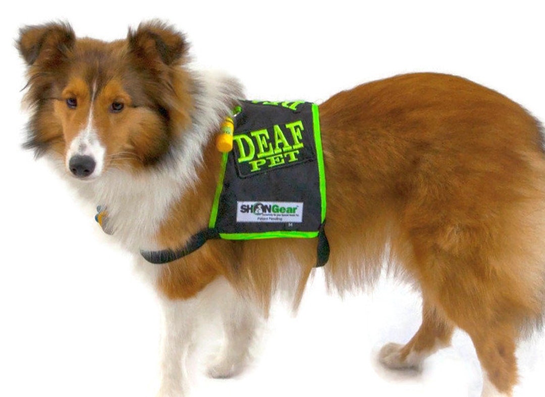 DEAF Dog Safety Vest, Deaf Dog Harness, Deaf Dog Tag, Deaf Dog, Harness for Deaf Dog, Deaf Pet