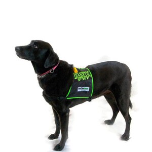 DIABETIC Dog Vest Kit Diabetic Dog Vest for Diabetic Dog Diabetic Dog Harness Diabetic Pet Harness for Diabetic Dog Etsy