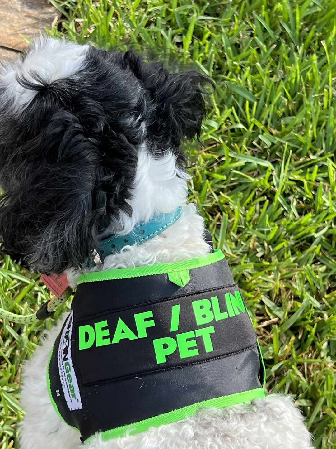 Deafblind Dog Vest Kit, Blind Dog Harness, Deaf Dog Harness, Vest for Blind Dog, Vest for Deaf