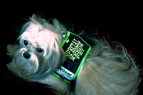 Special Needs Dog Vest Medical Alert High Visibility Etsy UK