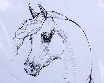 Arabian horse, equine art, horse portrait, equestrian, original pen drawing