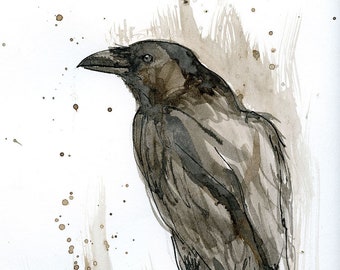 raven, nature, wildlife, original ink painting on paper