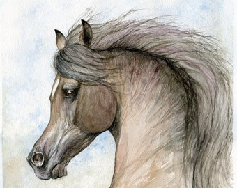 Bay arabian horse portrait, equine art, original watercolour painting on paper