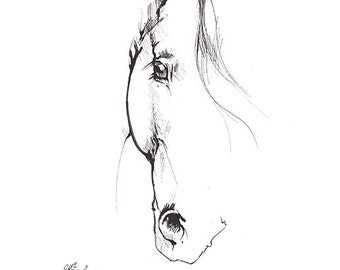 Original pen drawing of a horse