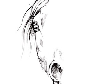 Original pen drawing of a horse