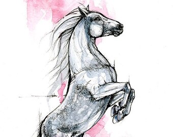 Arabian stallion, equine art, horse portrait, original ink and watercolor painting on paper