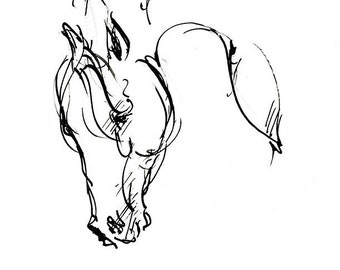 Horse head , equine art, original ink drawing on paper