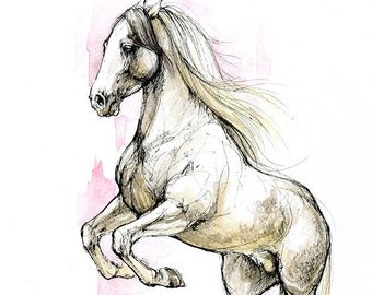 Andalusian stallion, equine art, horse portrait, original ink and watercolor painting on paper