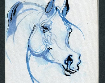Arabian horse, equine art, original ink painting on paper