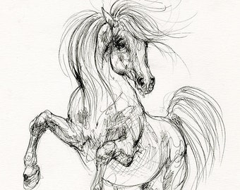 Dancing horse, equine art, original pen drawing on paper
