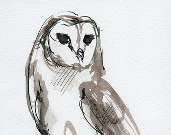 Barn owl illustration, original ink drawing on paper