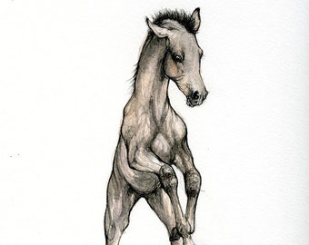 Prancing foal, horse painting, equine art, original pen and watercolor painting on paper
