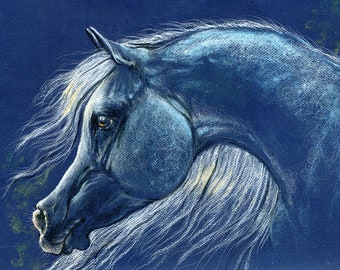 grey arabian horse, equine art, original soft pastel drawing