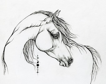 Arabian horse, equine art, original pen drawing on paper