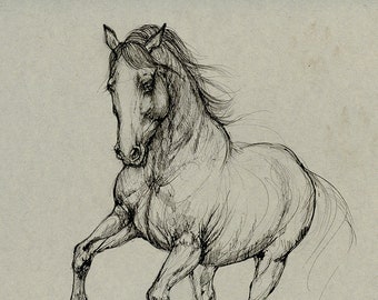 Running horse, original pen drawing on paper