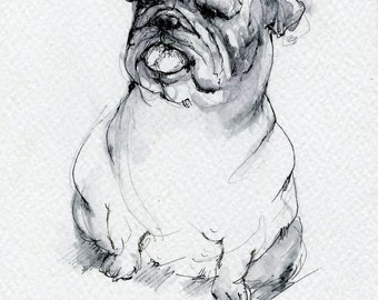 Bulldog, canine art, original ink drawing