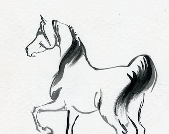 Arabian horse, equine art, original ink drawing on paper