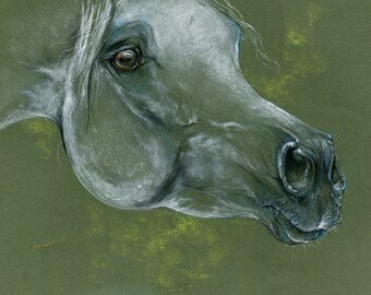 Arabian horse portrait, equine art, original soft pastel drawing