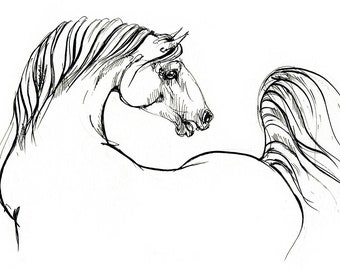Horse art, equine, original ink drawing on paper