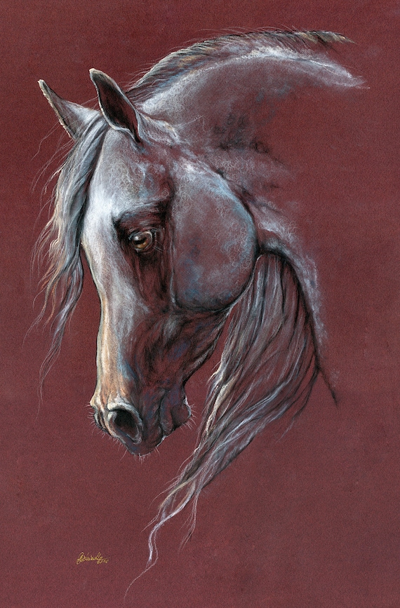 Grey Arabian Horse Equine Art Original Soft Pastel Drawing Etsy
