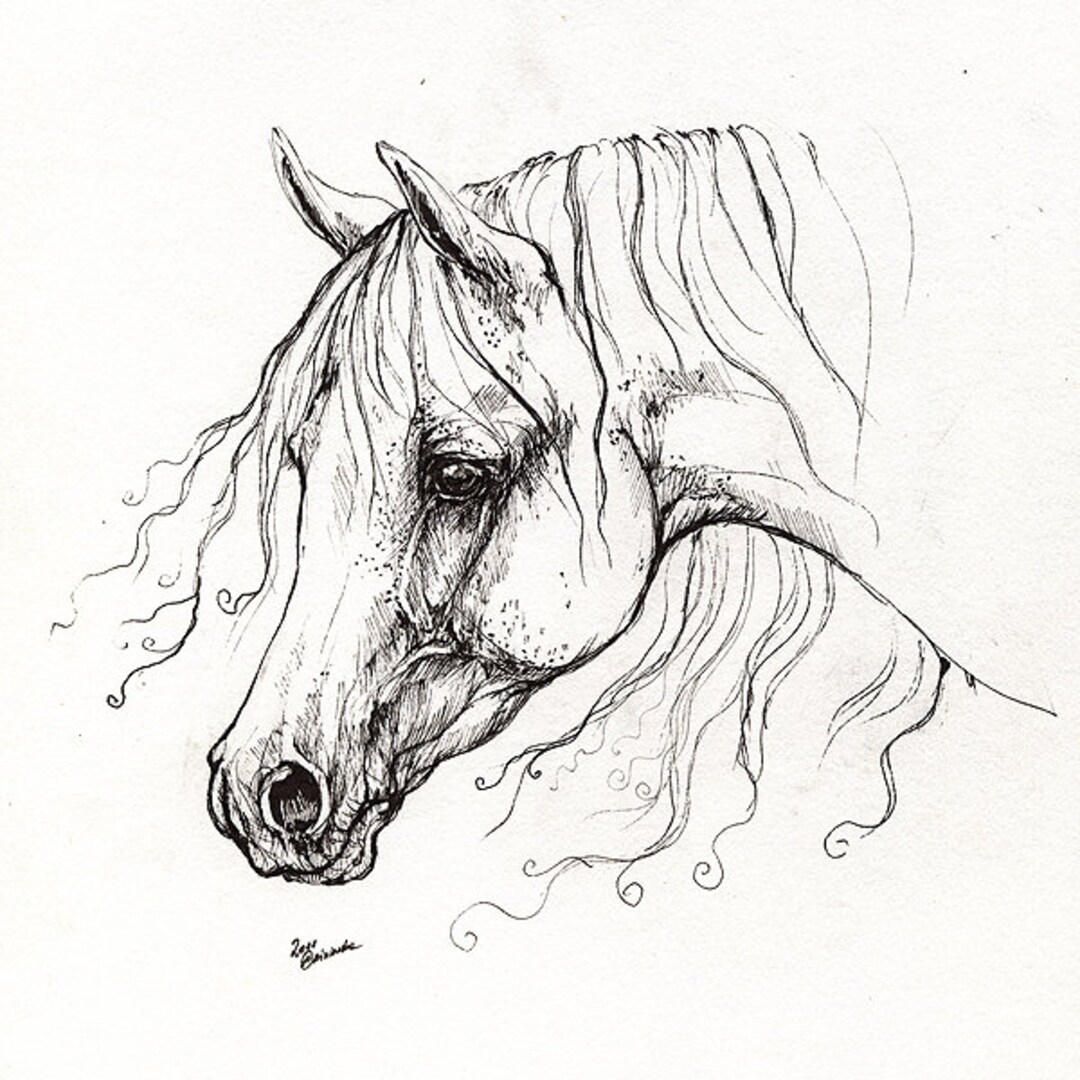 The Arabian Horse Portrait Pen Drawing Etsy