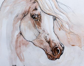 Arabian horse, equine art, equestrian, cheval, horse portrait, original pen and watercolors drawing