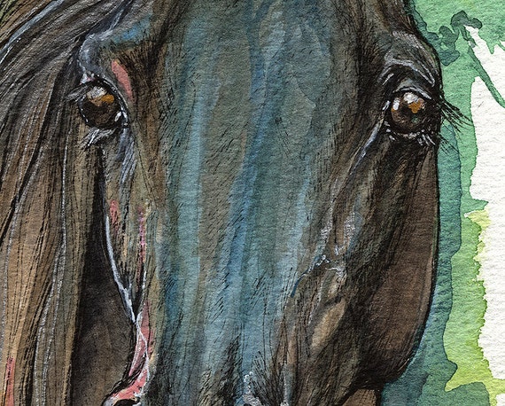 Horse running Original watercolor,ink drawing,equestrian equine,stallion,  animal